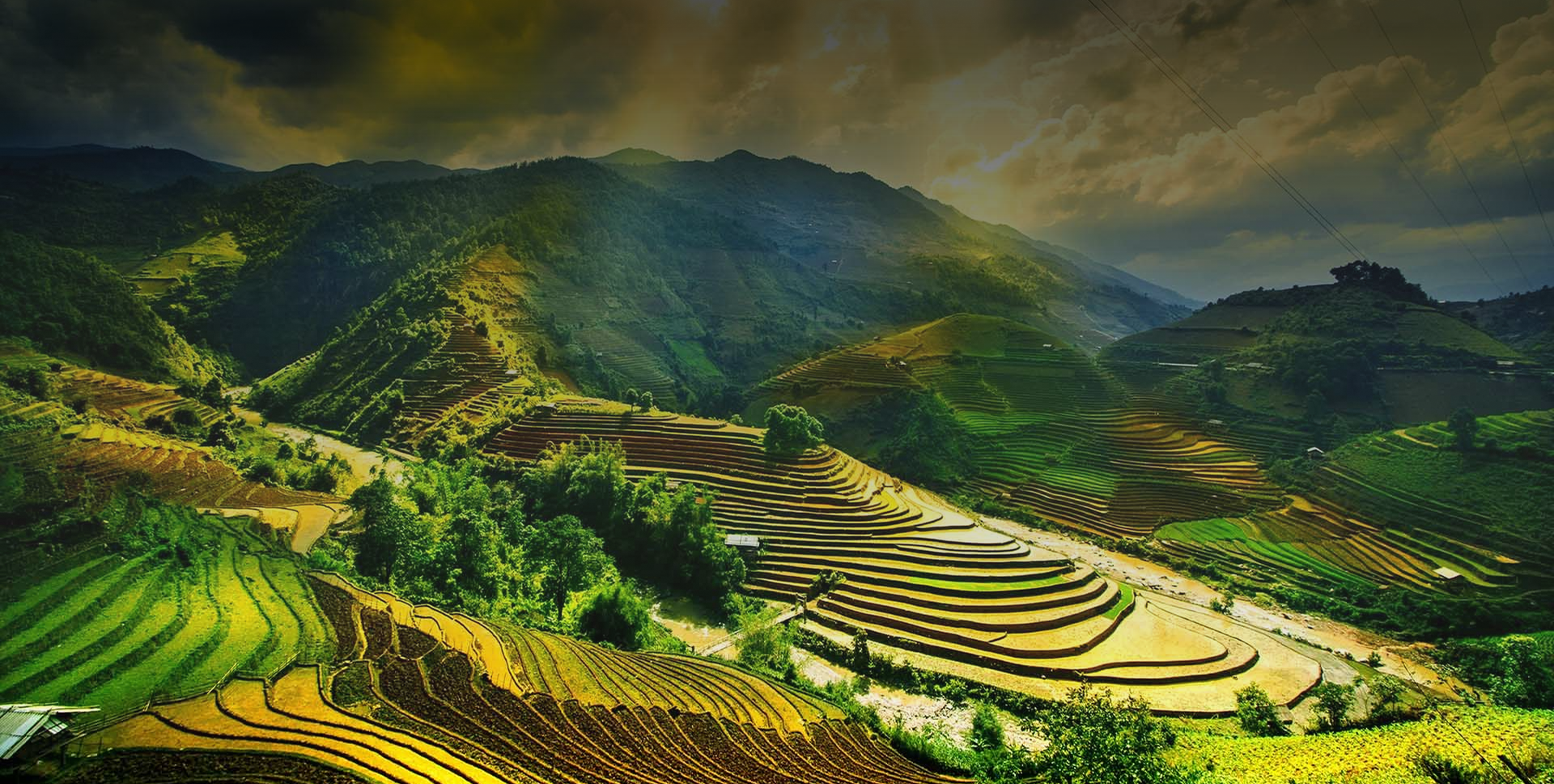 Vững bước đầu tư
Nâng tầm du lịch Việt