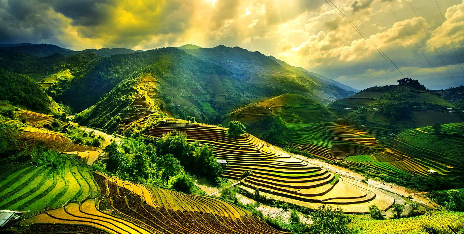 Group Visa Fee Waiver Extended Until End of 2026 for Tourists from China and Other Countries (Sao chép) (Sao chép) (Sao chép) (Sao chép) (Sao chép) (Sao chép) (Sao chép) (Sao chép) (Sao chép) (Sao chép) (Sao chép) (Sao chép) (Sao chép) (Sao chép)